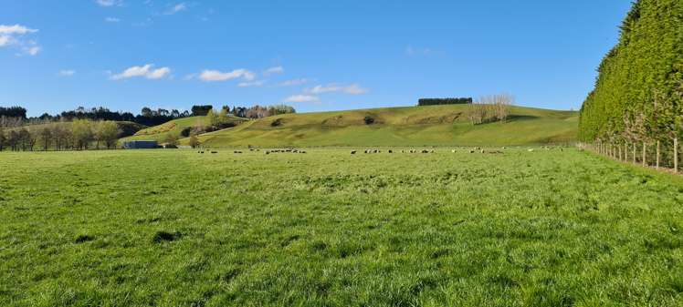 526 Turnbull Road Gore Surrounds_2