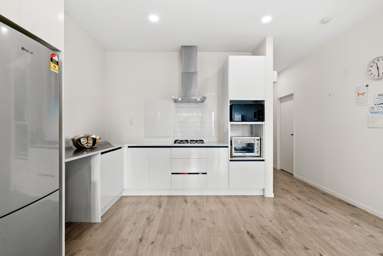 6 Swamp Kauri Grove_4