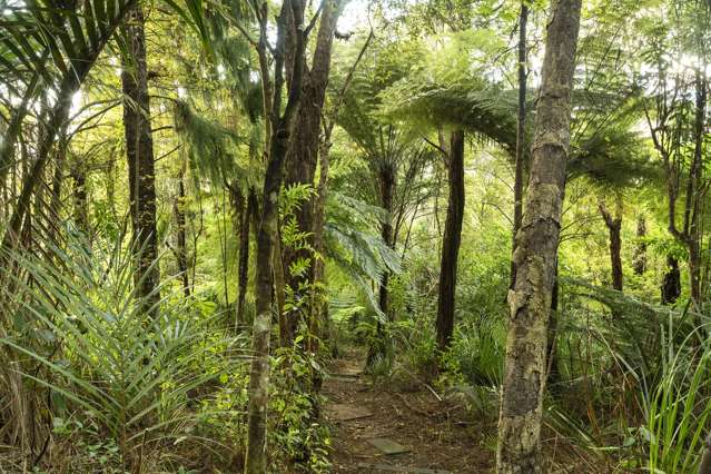 70 Mountain Road Henderson Valley_4