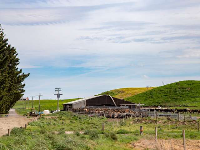 465 State Highway 49 Waiouru_3