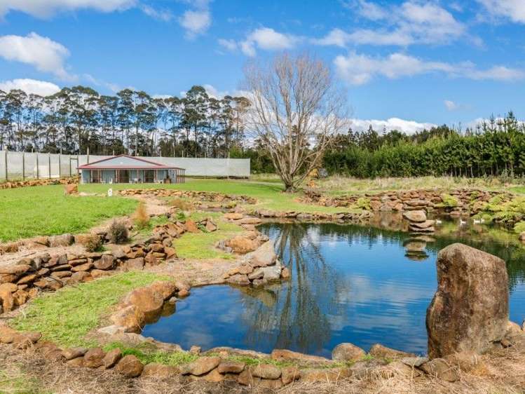 145a Waimate North Road Kerikeri_7