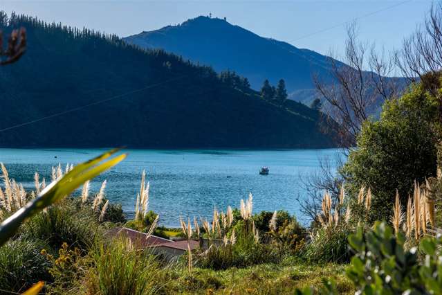 1476 Port Underwood Road Oyster Bay Port Underwood_2