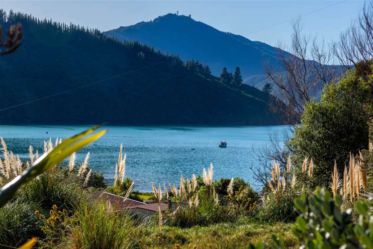 1476 Port Underwood Road Oyster Bay_2