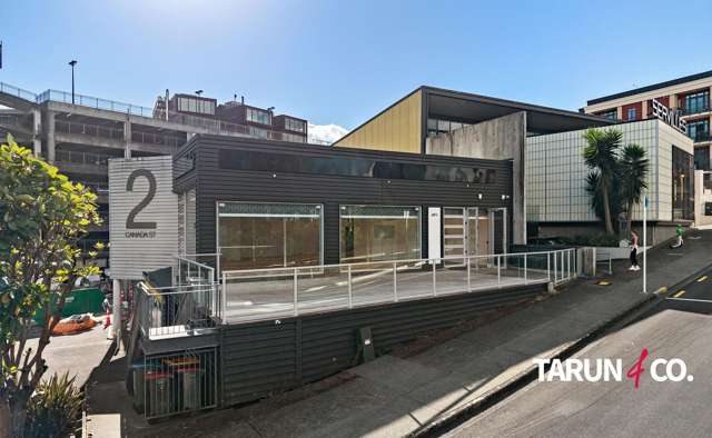 4/2 Canada Street Auckland Central_2
