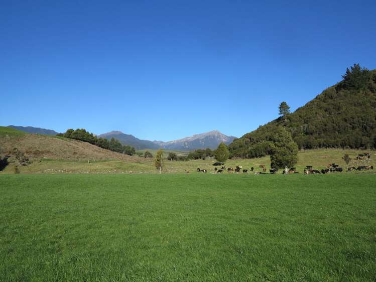 444 Aorere Valley Road Kahurangi National Park_25