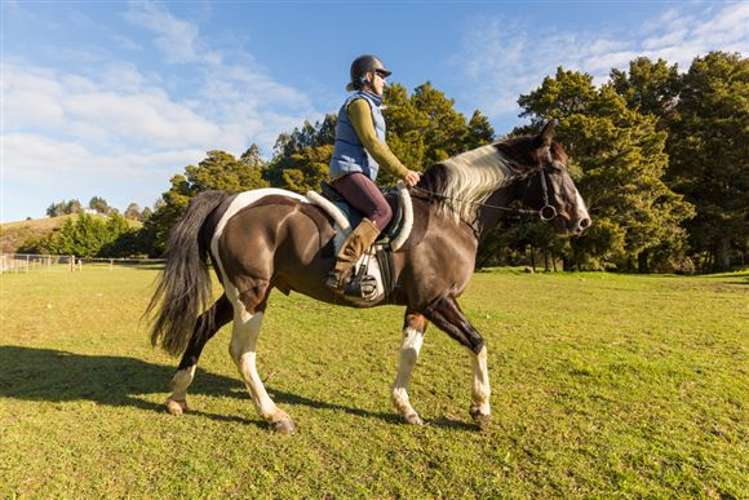 72a Eighty Eight Valley Road Wakefield_4