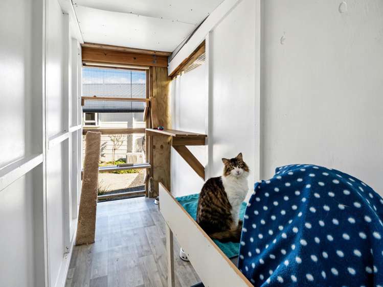 29 Walker Road West Katikati_29