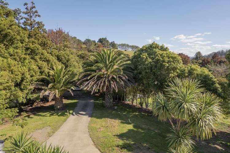 Lot 7, 104 Taiwawe Lane Hot Water Beach_20