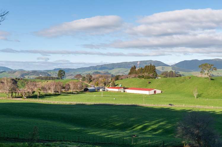 471 Poutakataka Road Ngakuru_30