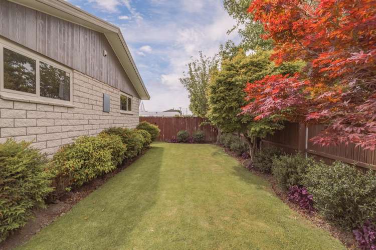 83 Solomon Avenue Redwood_16