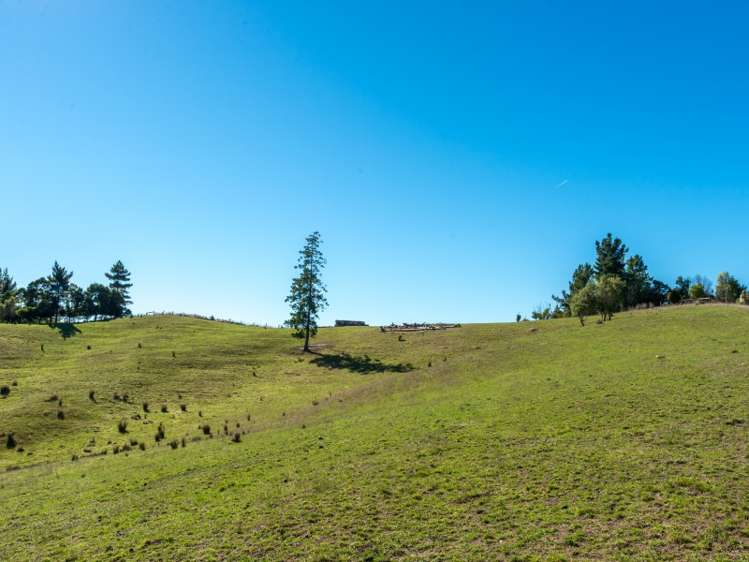 22 Kina Peninsula Road Tasman_12