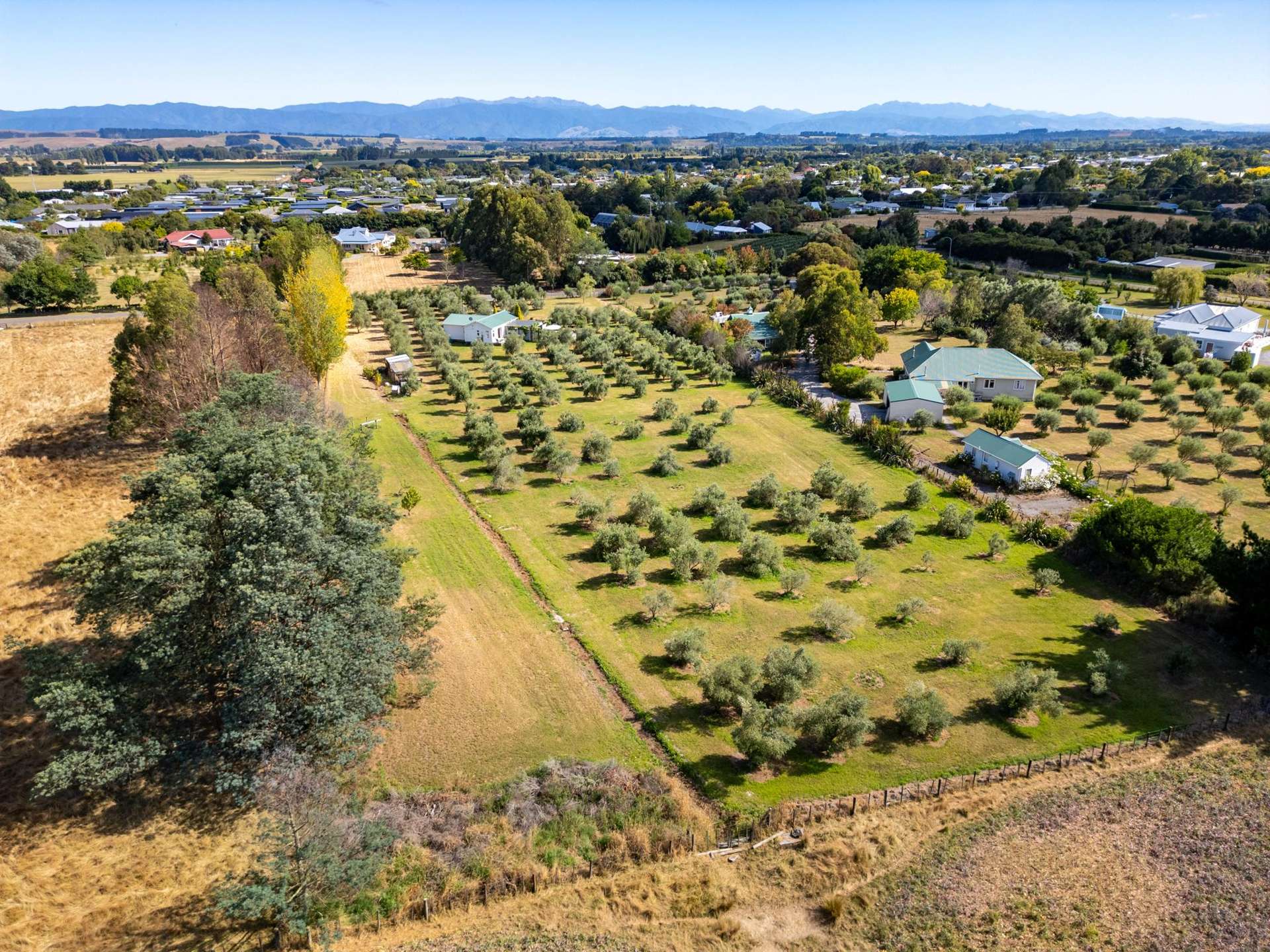 7 Hawkins Drive Martinborough_0