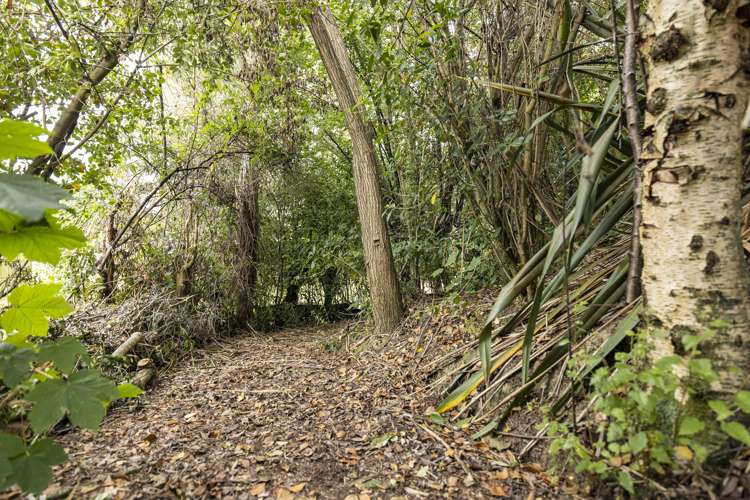 15 Darby Street Geraldine_18