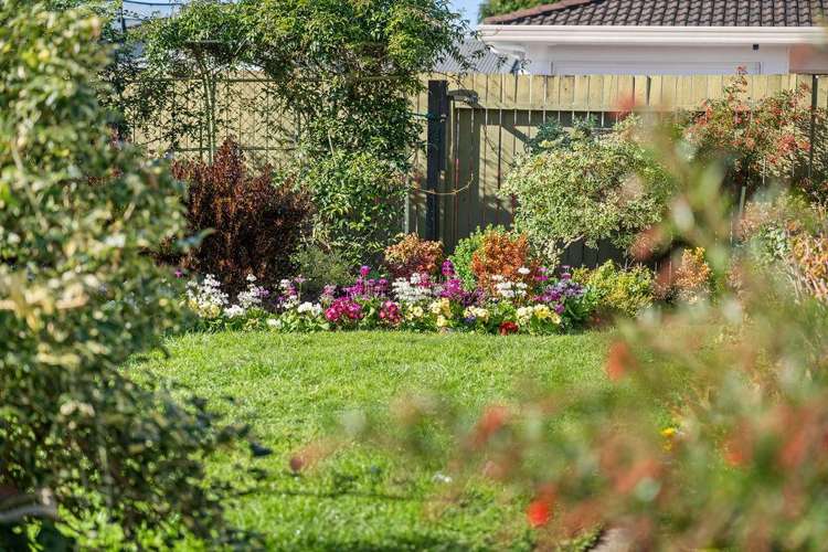 10b Oban Road Greerton_2