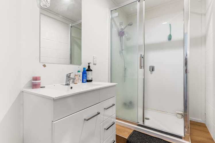 8 Allen Road Grey Lynn_13