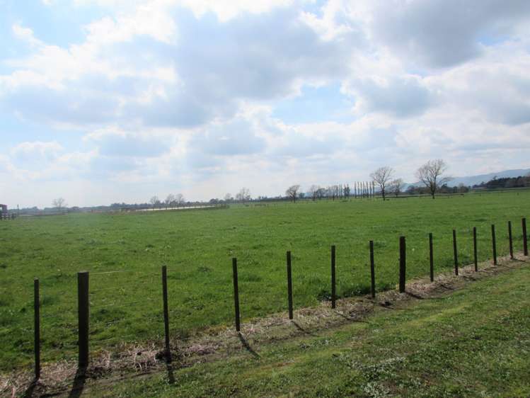 4183b State Highway 26 Waihou_13