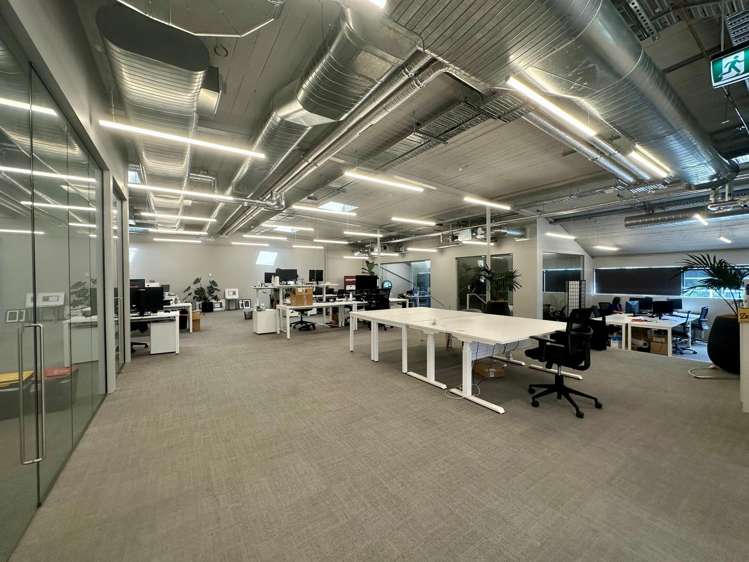 24 Balfour Road Parnell_3