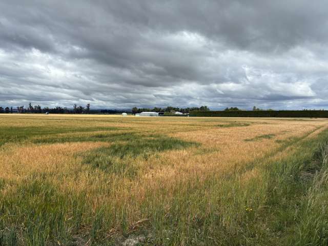 215 Falvey Road Levels_3