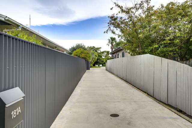 181a Guppy Road Taradale_3