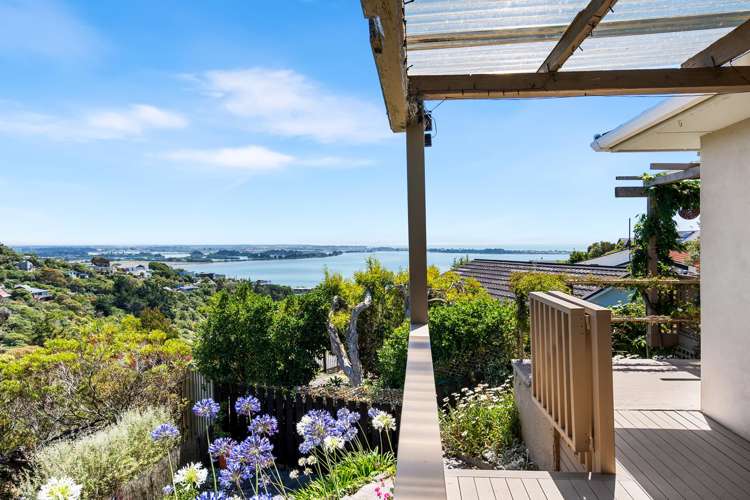 65 Soleares Avenue Mount Pleasant_31