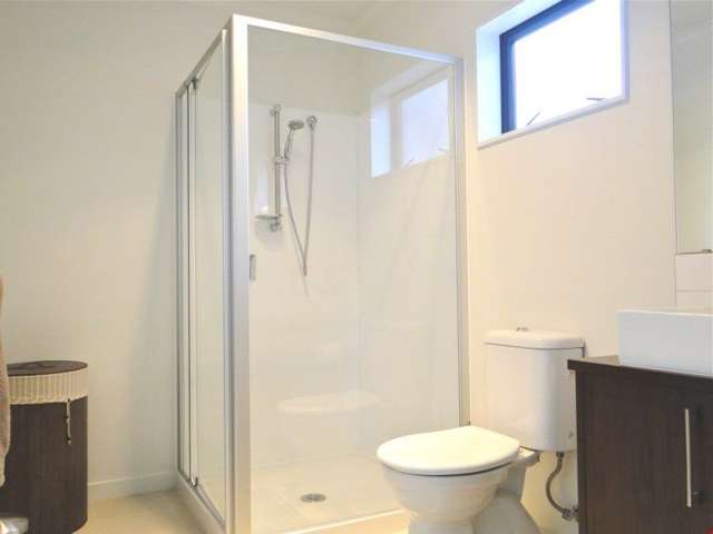 4 Joseph Street Flat Bush_4