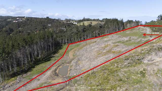 205 Wishart Road Helensville_1