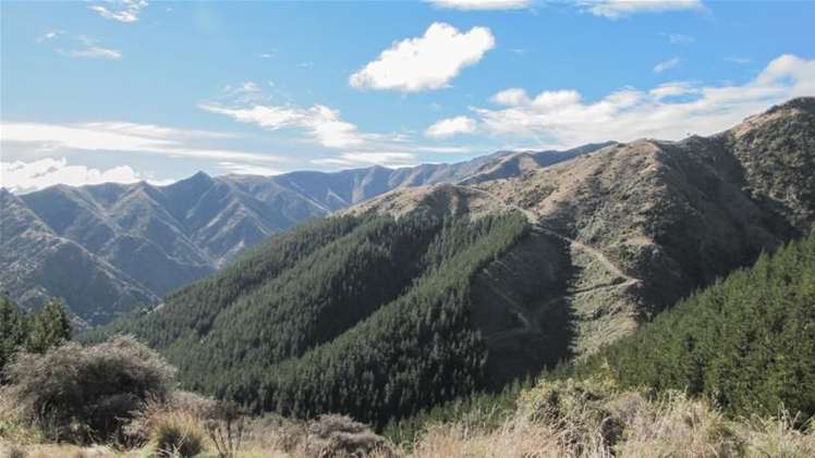 1234 Leatham Road Wairau Valley_2