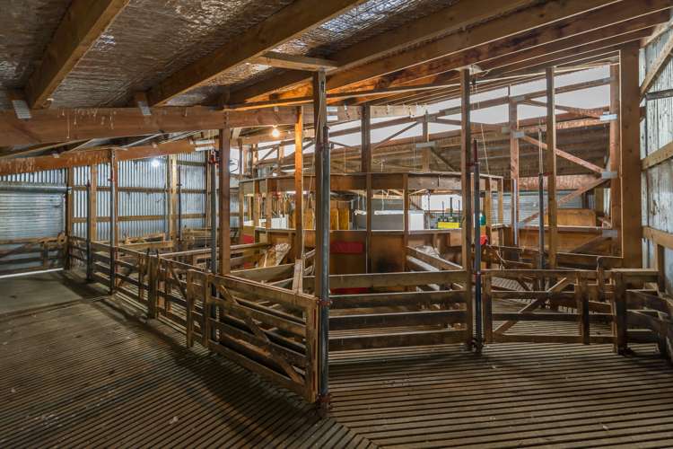 387 Eggleston Road Cheviot_17