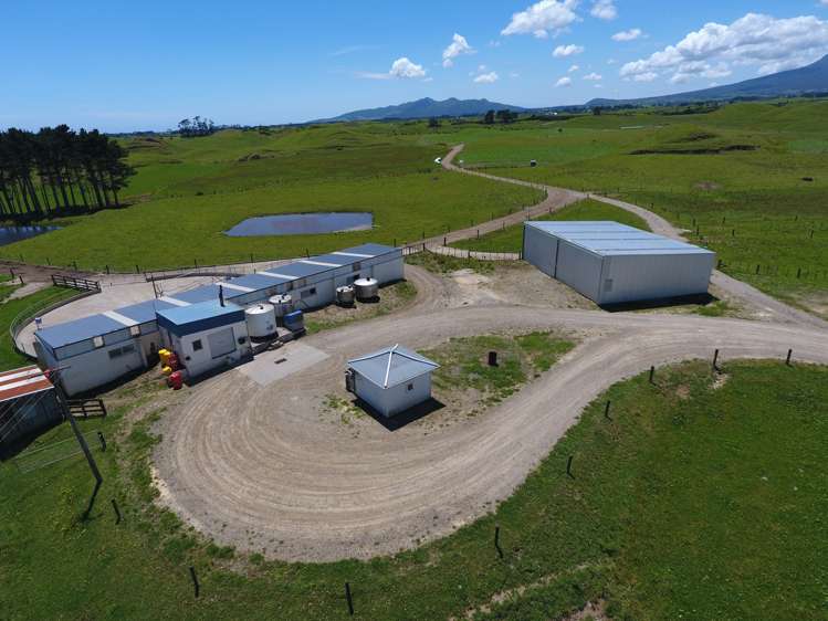 331 Warea Road Warea_6