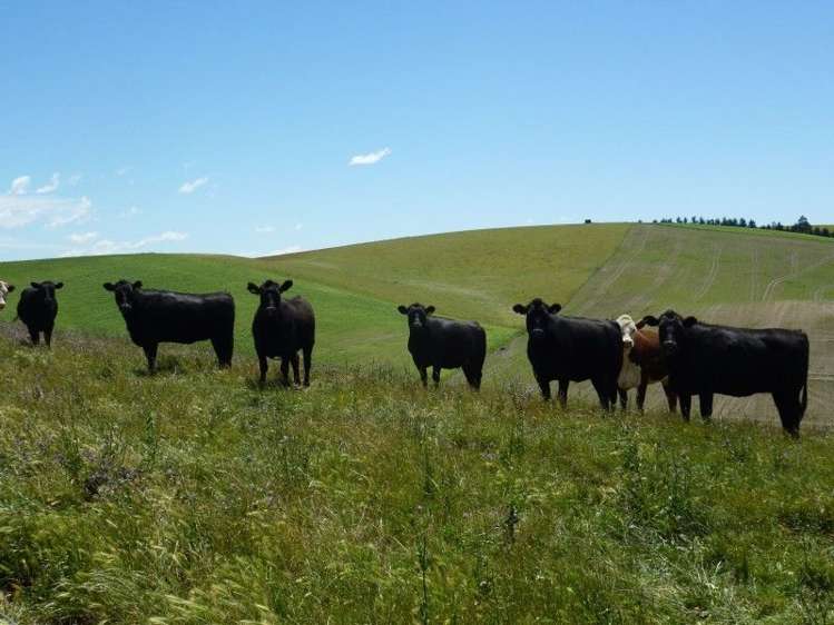 614 Levels Valley Road Levels Valley_4