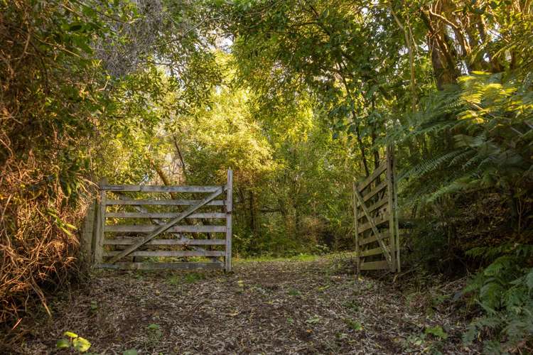 115 Wainui Valley Road Wainui_6