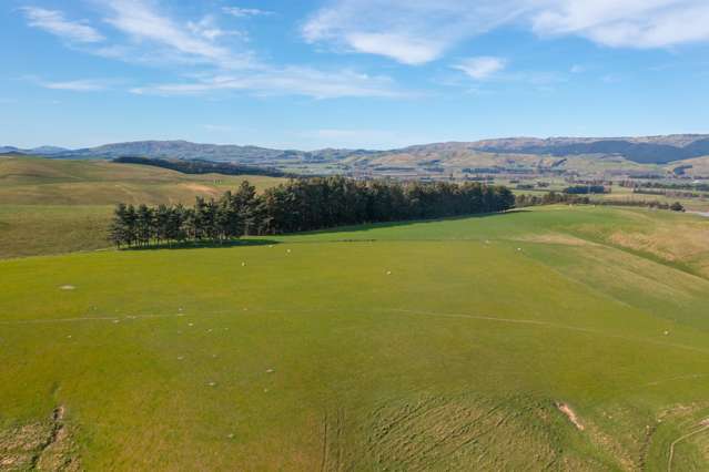 277 Mackenzies Road Waipara_1