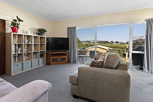 1/157 Mahana Lane Te Awamutu_3