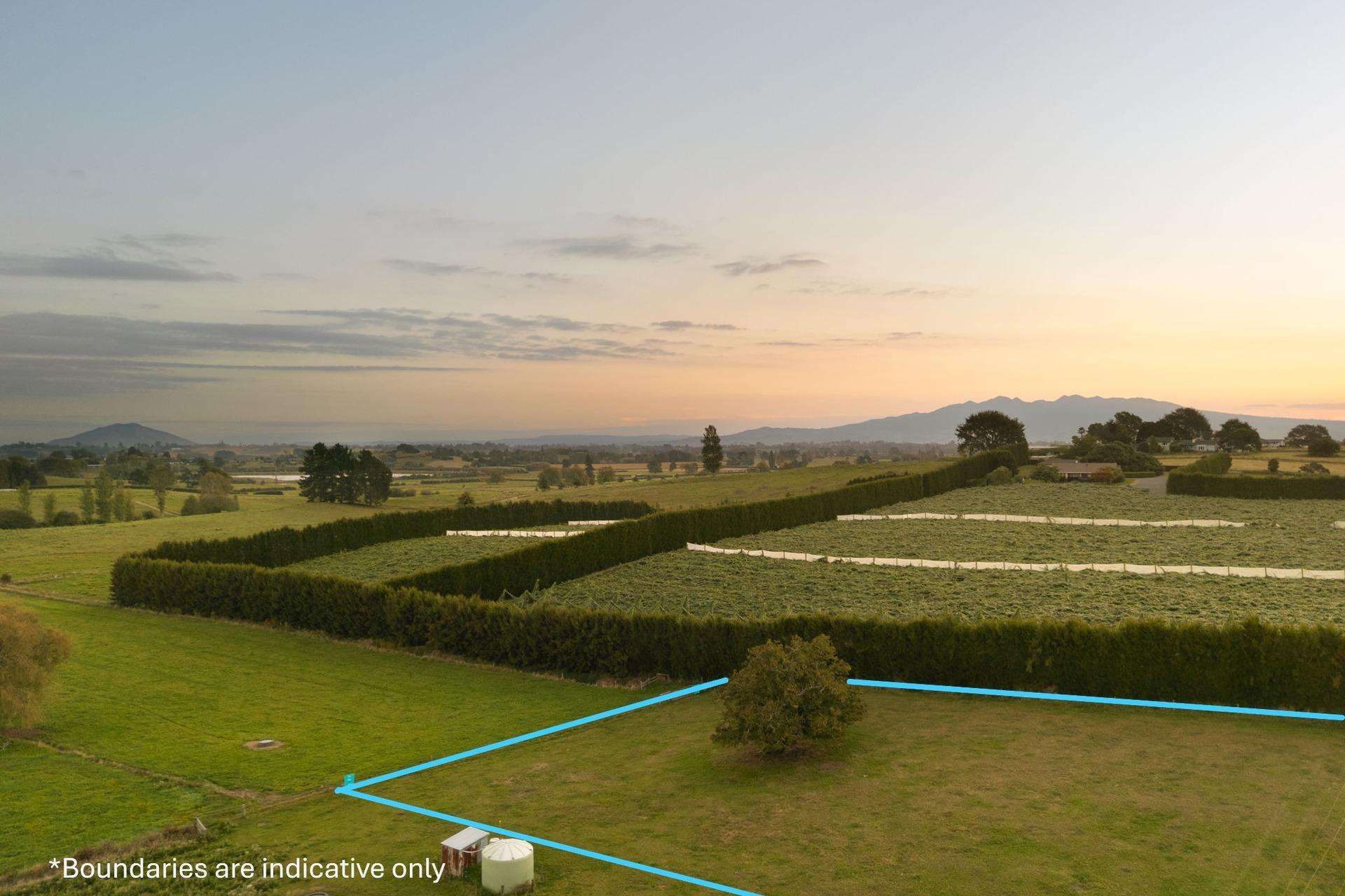 55 Forkert Road Ohaupo_0