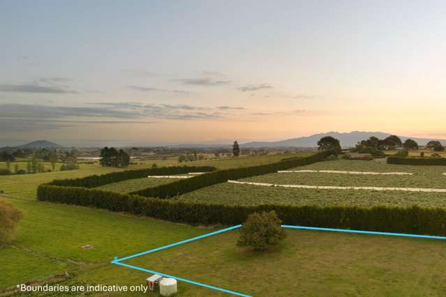 Room to Breathe, Space to Grow