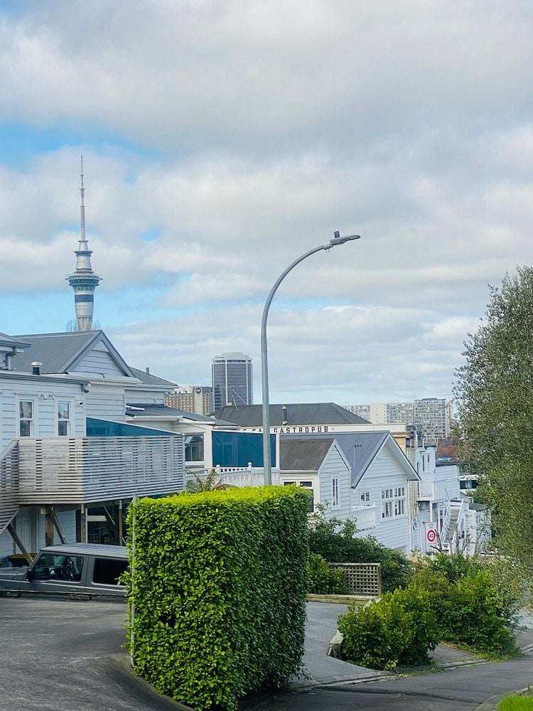 72A College Hill Freemans Bay_8