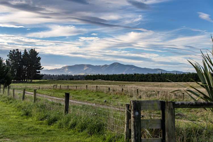 118 Yaxleys Road Loburn_16