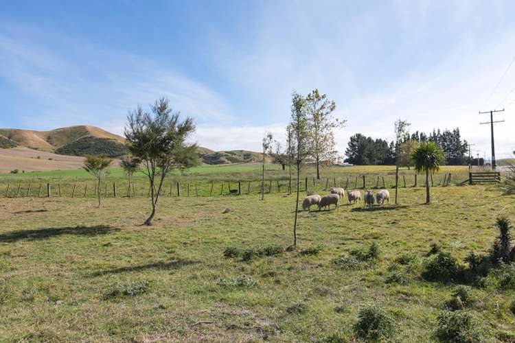 668 State Highway 2 Otane_24