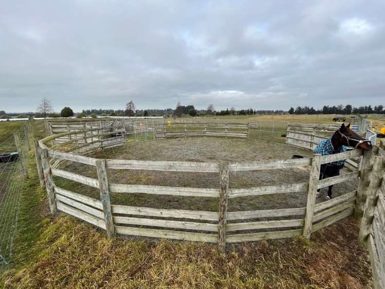 109 Hardys Road Rakaia_8