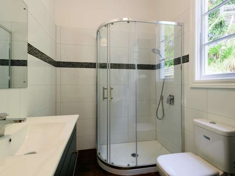 53 Norway Street Aro Valley_17