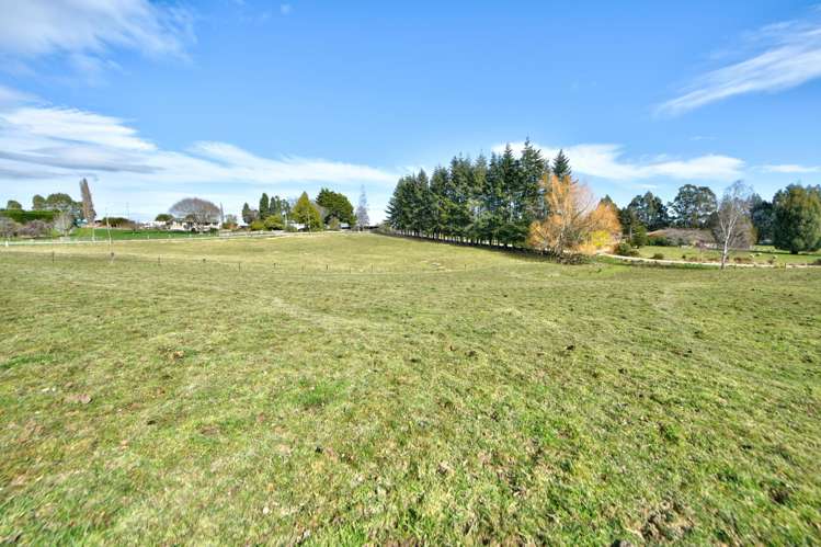 Braudigam Road East Tapanui_25