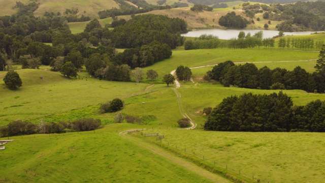 Lifestyle Lots on Millbrook