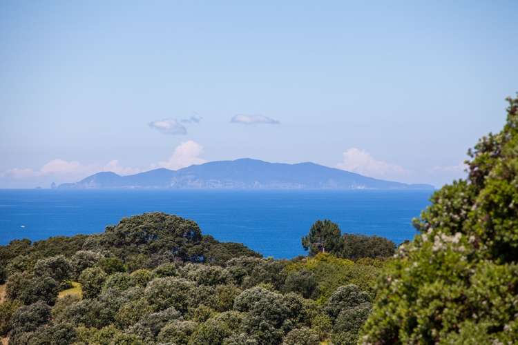 442 Onemana Drive Onemana_18