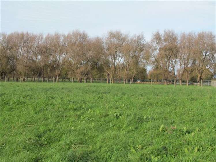 162 Oroua Road Kairanga_7