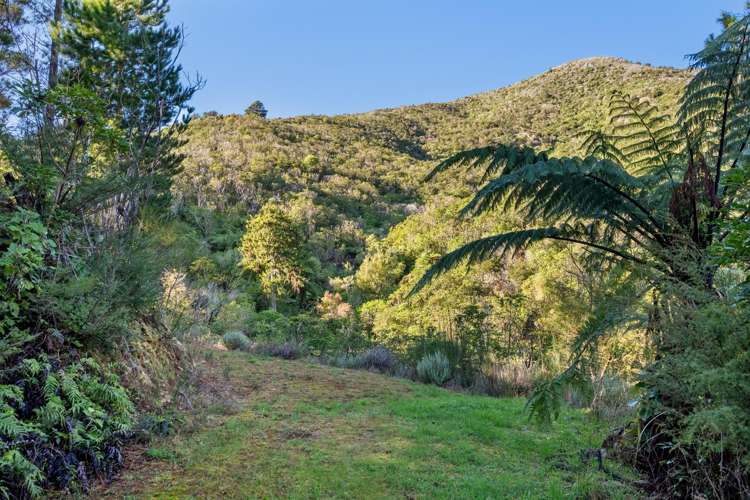 165 Boons Valley Road Picton_39