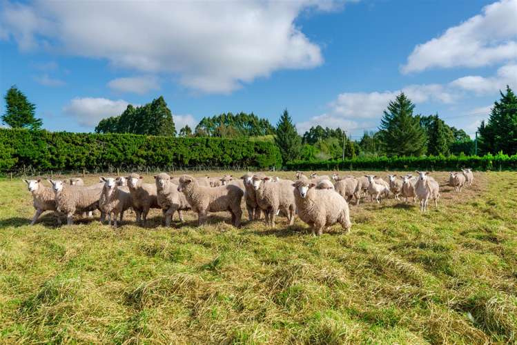 592 Finlays Road West Melton_25