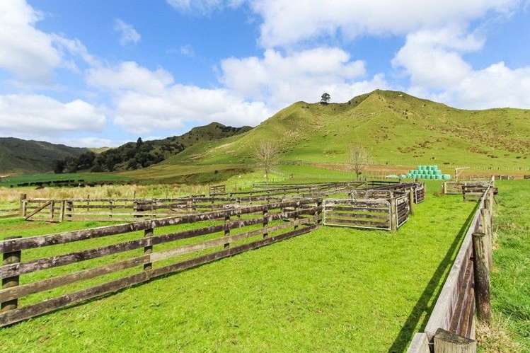 2560 Rawhitiroa Road Eltham_41