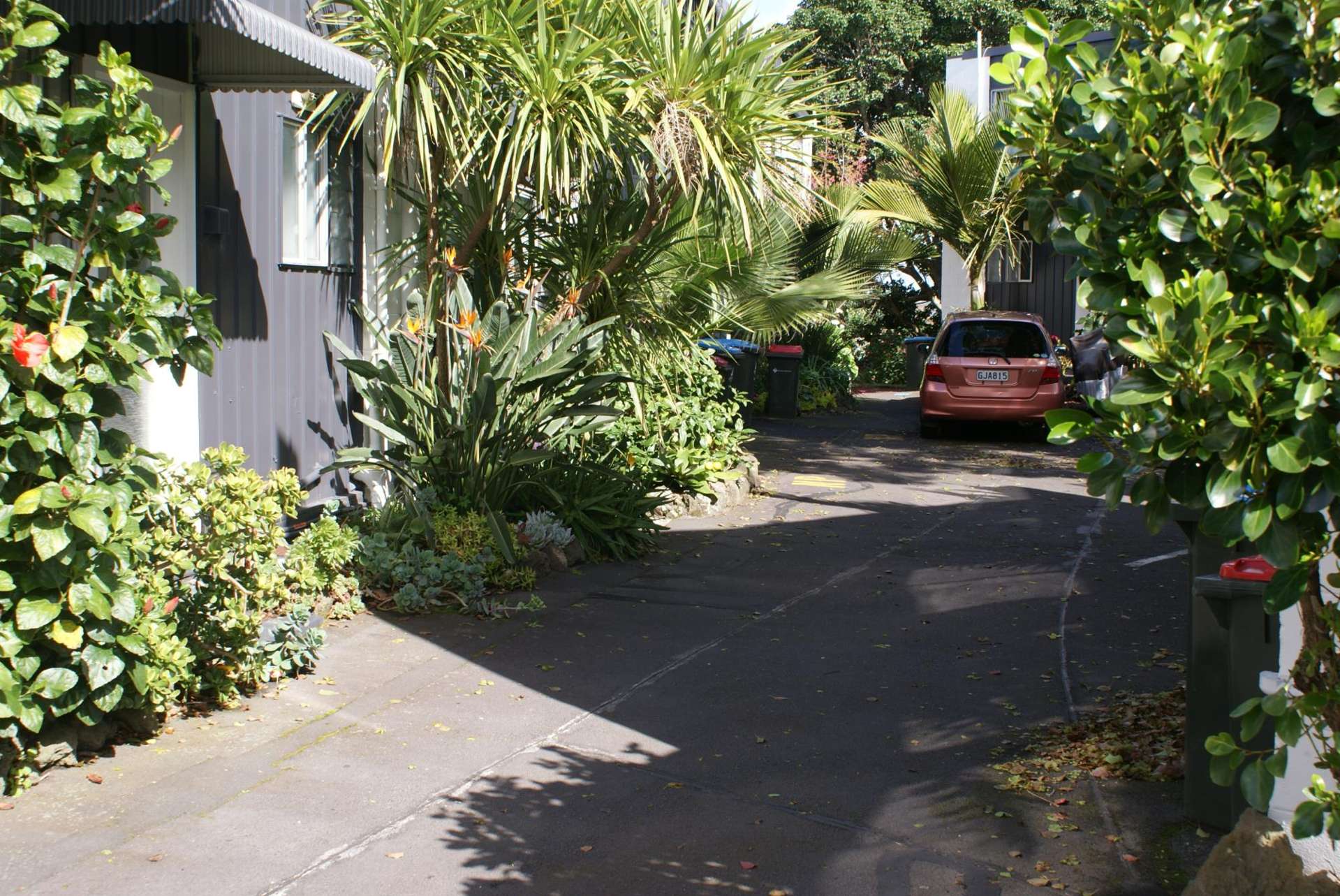 14/10 George Street Mount Eden_0