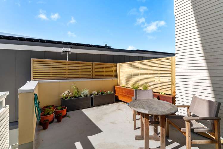 12/4 Frederick Street Te Aro_3