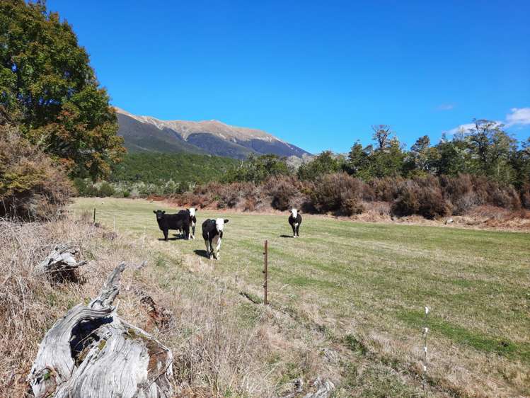 8626 Wairau Valley Highway St Arnaud_16